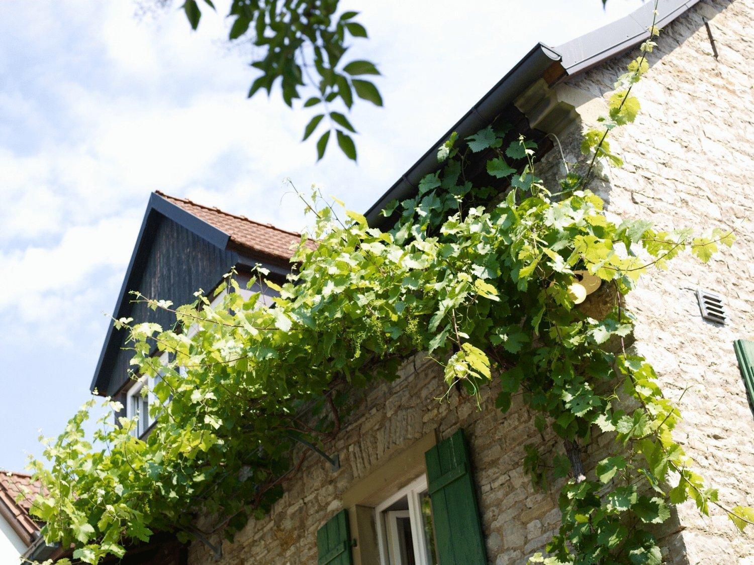 Vinotel Augustin Sulzfeld am Main Zewnętrze zdjęcie